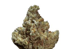 G13 Ultra