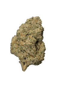 Black Cherry Punch
