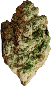 Black Cherry Punch