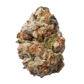 Mint Cherry One