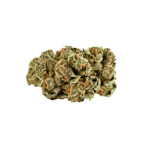 Z Kush
