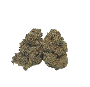 Northern Lime Pie