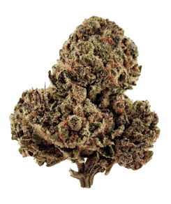 ZOSA