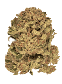 Master Kush