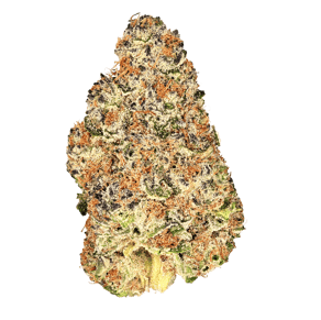 Gelato OG Kush