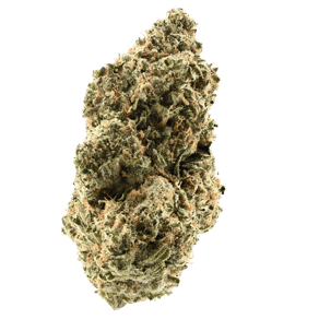 Critical 47