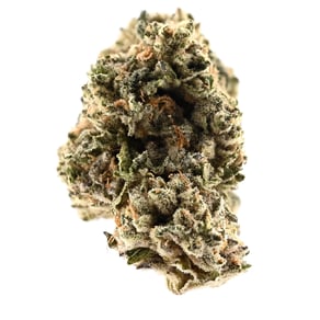 Animal Cookies x Sinmint Cookies