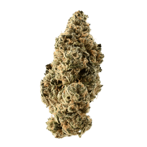 Mintz Kush