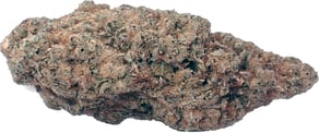 Zativa