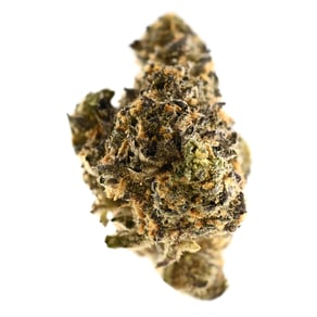 Rainbow Sherbert 11
