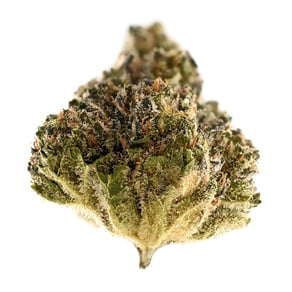 Crumbled Lime #27