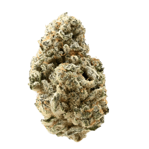 Siggis Waldmeister
