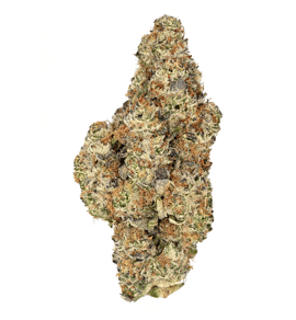 Gelato OG Kush