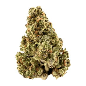 GMO Cookies x Kush Mints