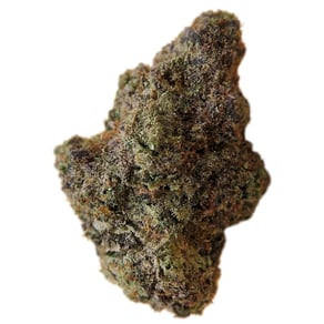 Mimosa