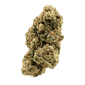 Golden Goat