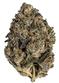Peach Gelato