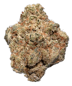 Slurricane