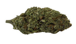 Platinum Girl Scout Cookies