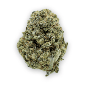 Frosted Sweet Tooth