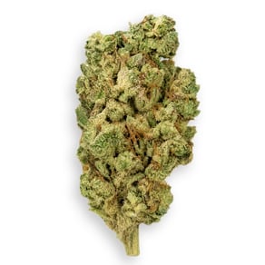OG Poison