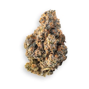 Babo Kush