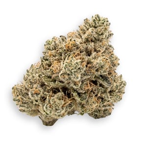 King's Kush