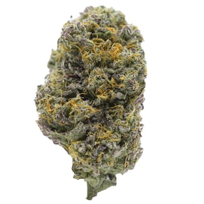 Lemon Viper Mimosa