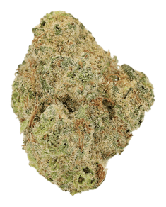 Black Cherry Mint