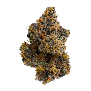 Rainbow Sherbert #11
