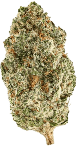 Pineapple God