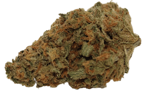 Super Lemon Haze