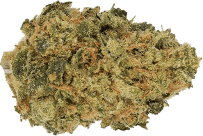 Blueberry Headband