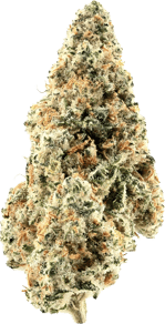 Han Solo Burger x GMO
