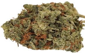 OG Kush: Cannamedical CM 24/1 OG Kush - Cannamedical